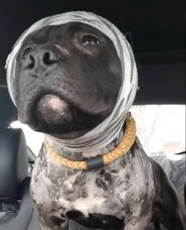 The path to recovery was arduous and len...