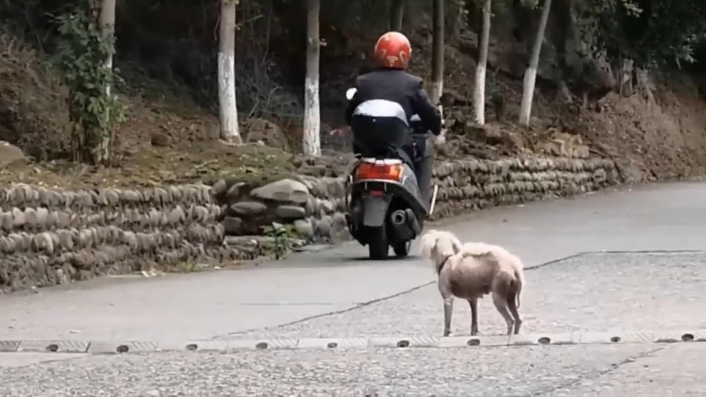 This heartless act touched me profoundly...