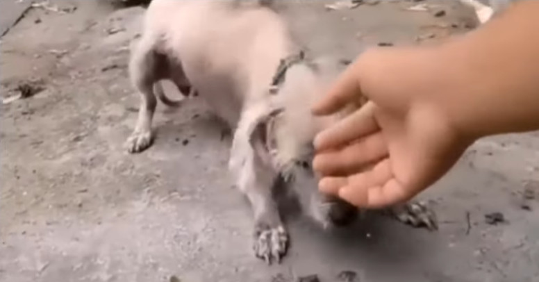 Our shared journey underscores the power...