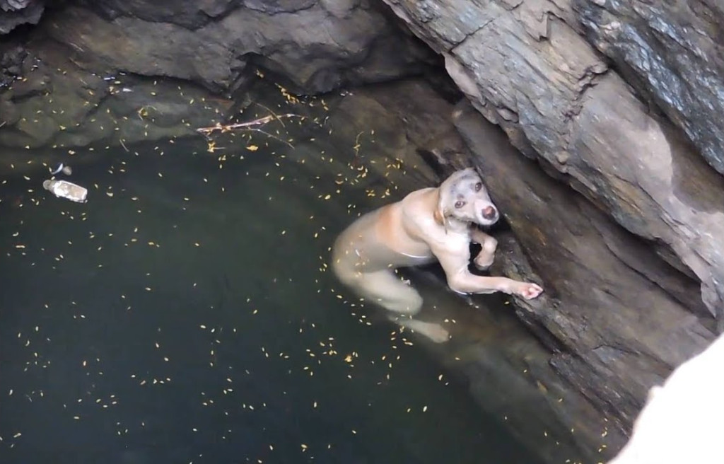 Fortunately, a group of unnamed heroes h...