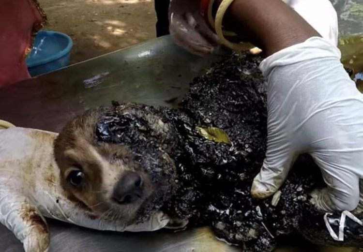 Deeply frightened and barely breathing, ...