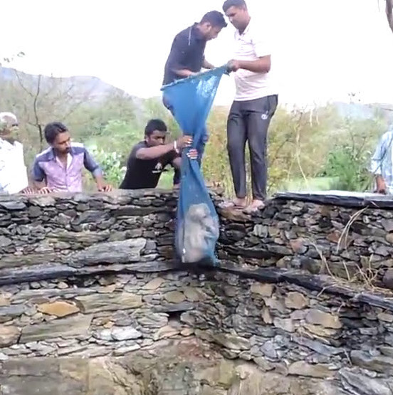 This heartwarming story of survival and ...