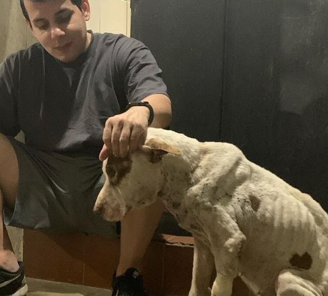 Extra image from article