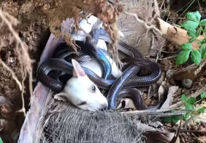 John watched in awe, his heart pounding ...