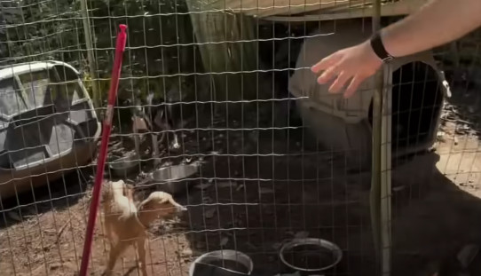 The heartbreaking discovery led to the i...