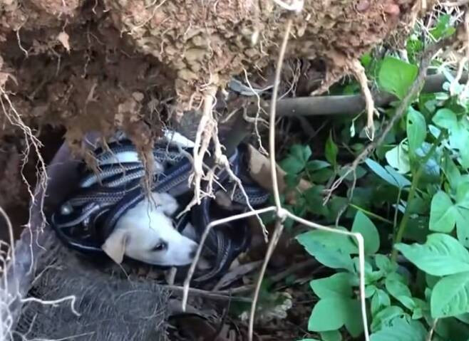 Max’s incredible bravery serves as a rem...