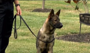 The day was marked by sadness as friends...