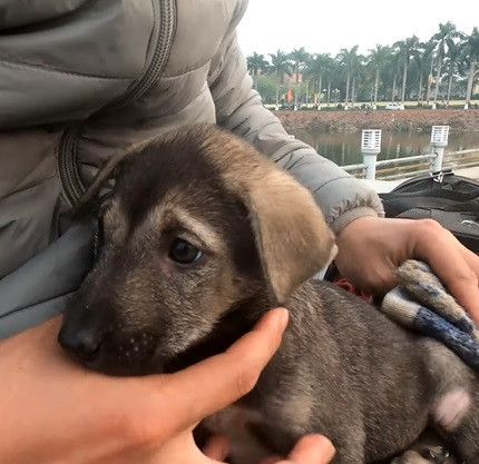 Extra image from article