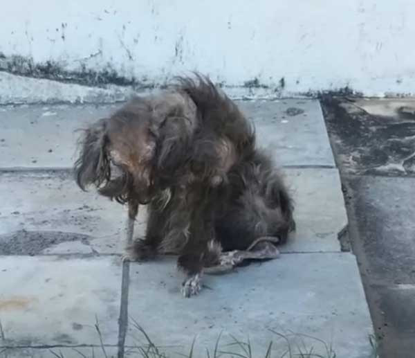 Extra image from article