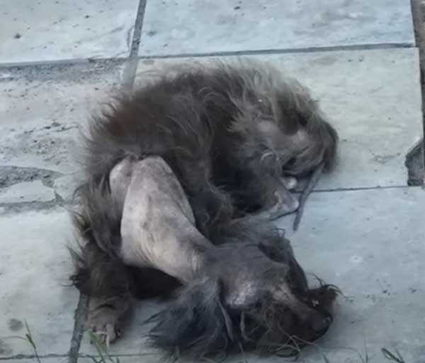 Extra image from article