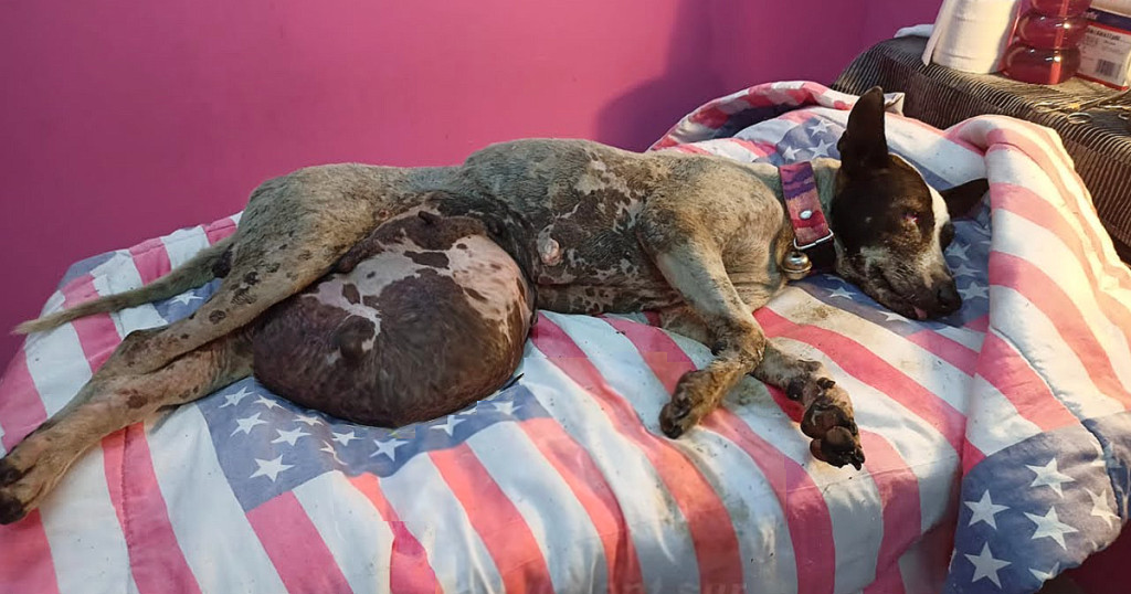 Her stomach is swollen. They initially m...