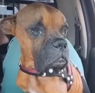 Extra image from article