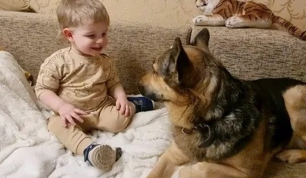 Max, a charming dog with a difficult pas...