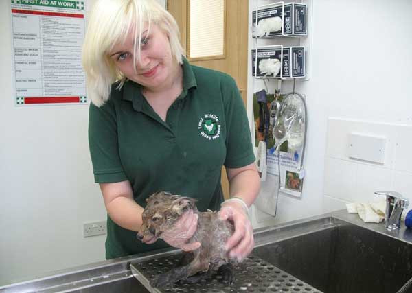 Once free from the debris, the team care...