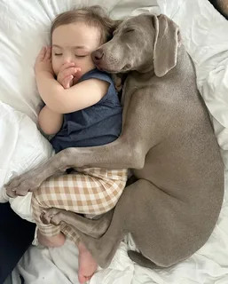 For Mia's parents, Lily and Mark, witnes...