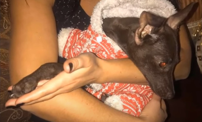 Extra image from article