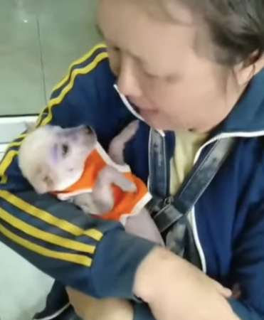 The vet was astounded by the puppy’s cha...