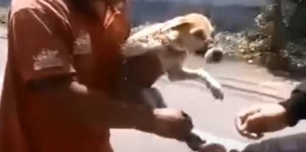 Despite her traumatic ordeal, MO has pro...