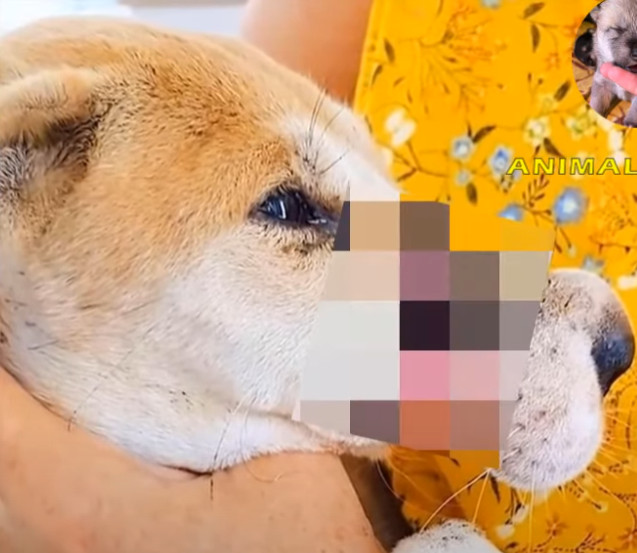 Extra image from article