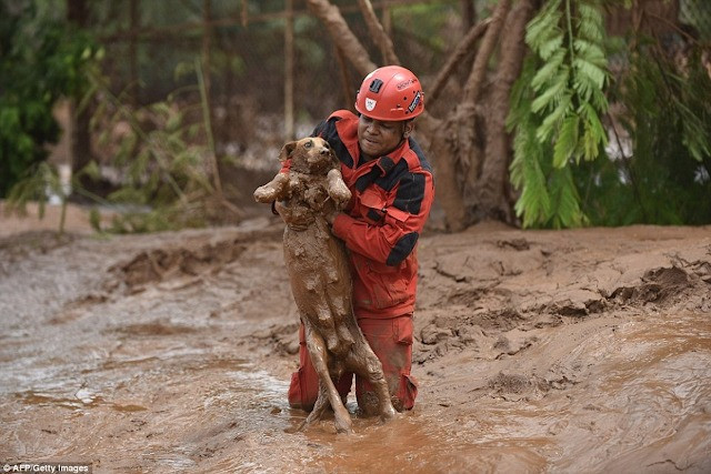 The rescue operation was led by Mark, an...