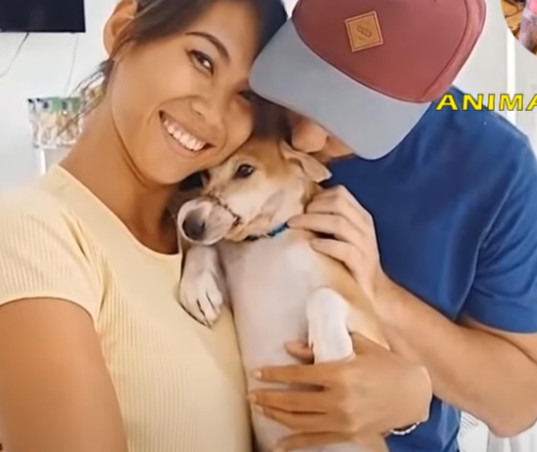 Extra image from article