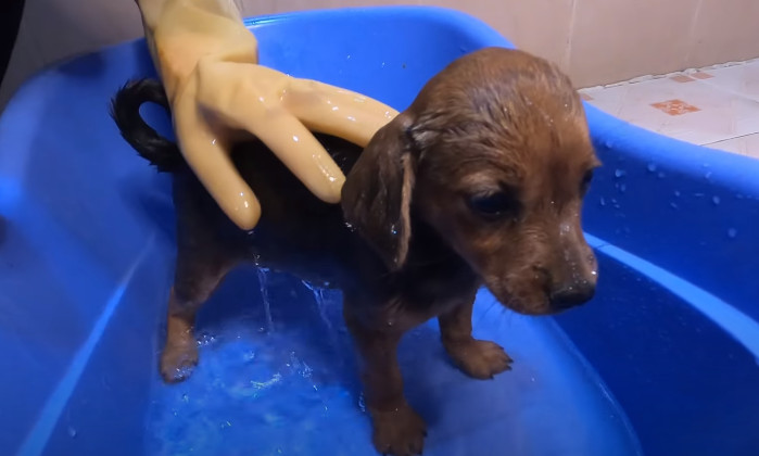 Extra image from article