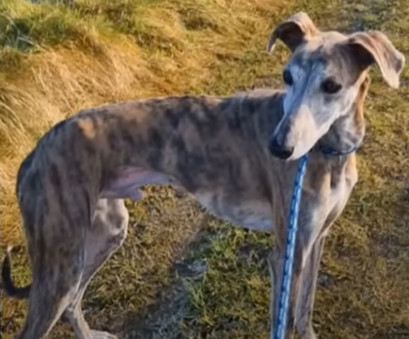 Extra image from article