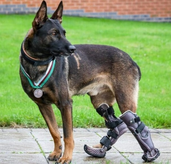 Despite completing numerous missions, hi...