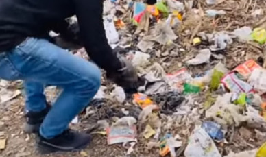 Over time, the puppy began to heal, its ...