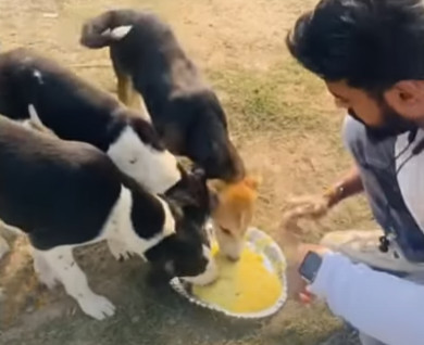 Extra image from article