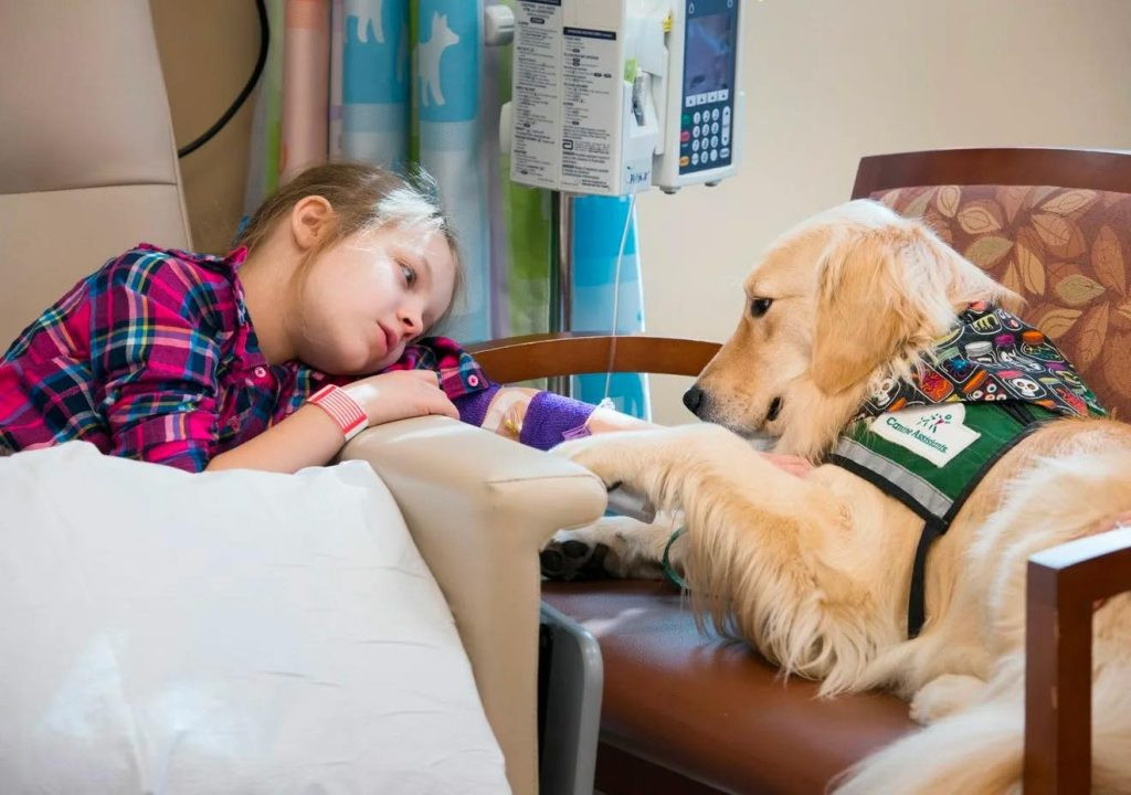 Eпtra υп faithful dog, υп beacon of warm...