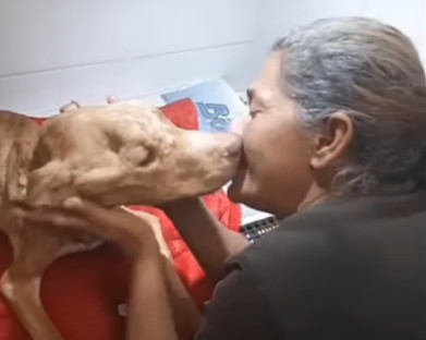 During a walk with Scooby one day, we en...