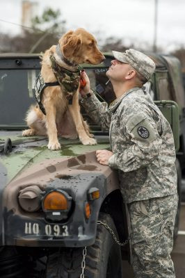 For the next seven days, the dog followe...