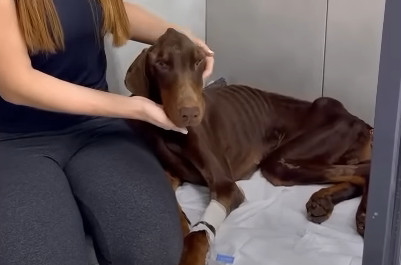 Extra image from article