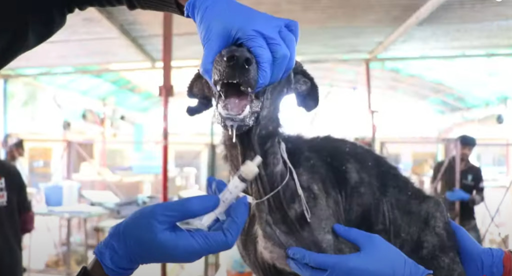 However, when rescuers found her, they s...