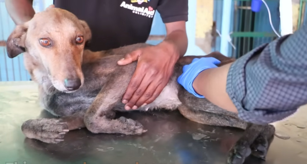 The treatment for TVT involves several m...