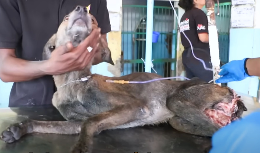 Extra image from article