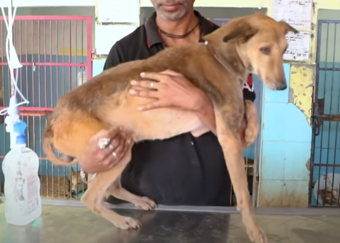 Extra image from article