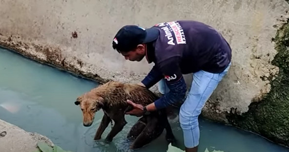 Despite the uncertain future, we committ...