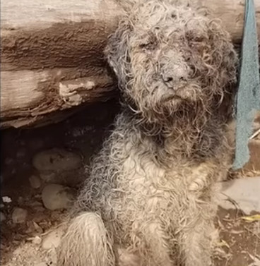 We found him soaked and emitting a punge...