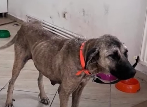 Today, Zeyna serves as a shining example...