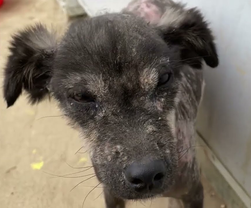 Extra image from article