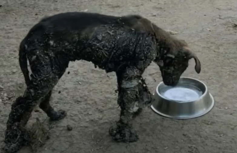 Upon returning, we immediately offered t...