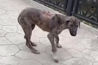 Demonstrating empathy and care, the memb...