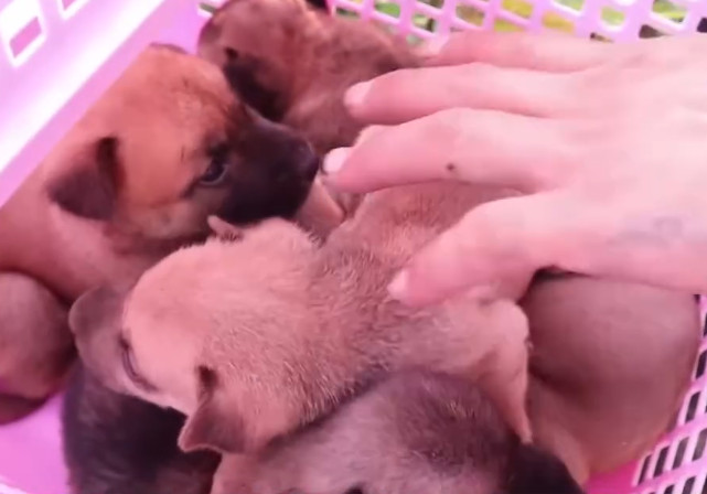 This poignant tale of a mother’s love an...