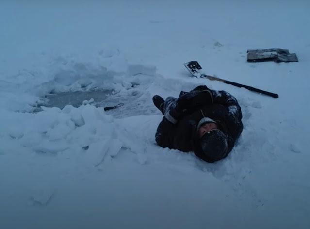 The dog, fiercely loyal, refused to be s...