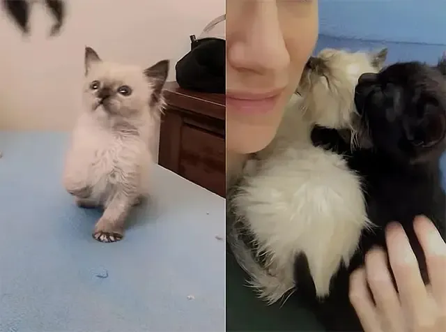 Rosie loves being surrounded by people, ...