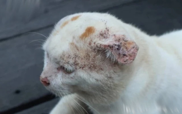 Beautiful. Brave. Worthy. That’s Lars....