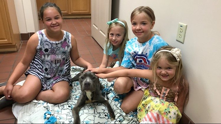 The puppy was named Mikey by the man who...