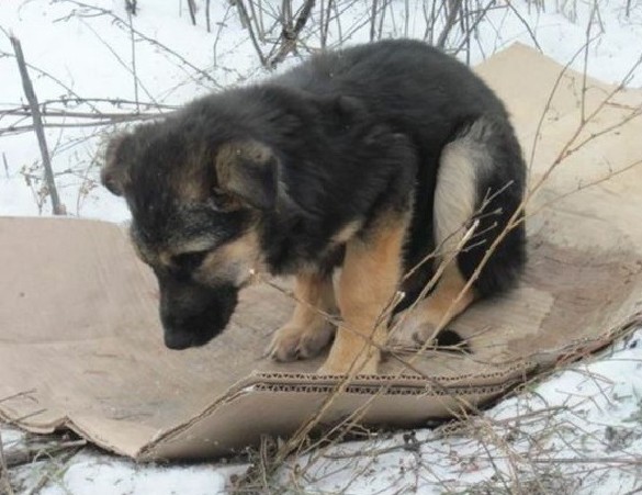 Extra image from article